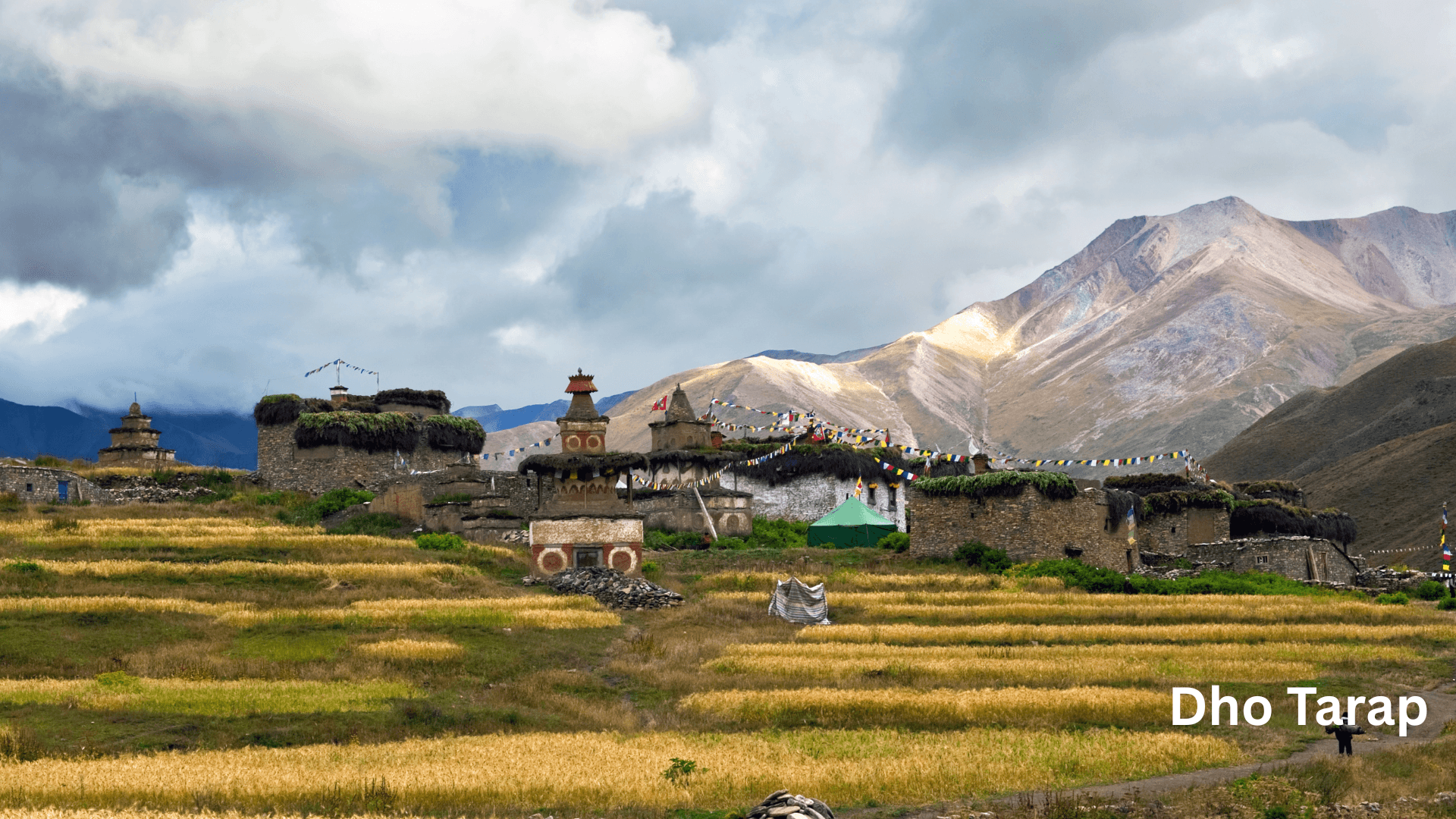 Dho-Tarap