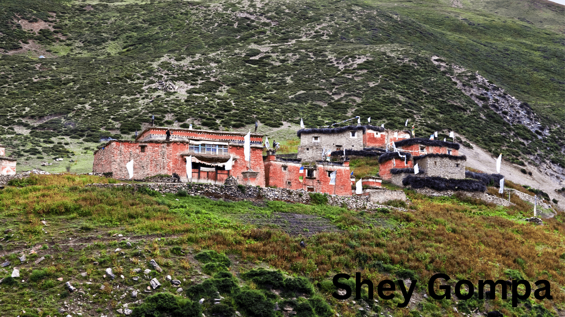Shey-Gompa