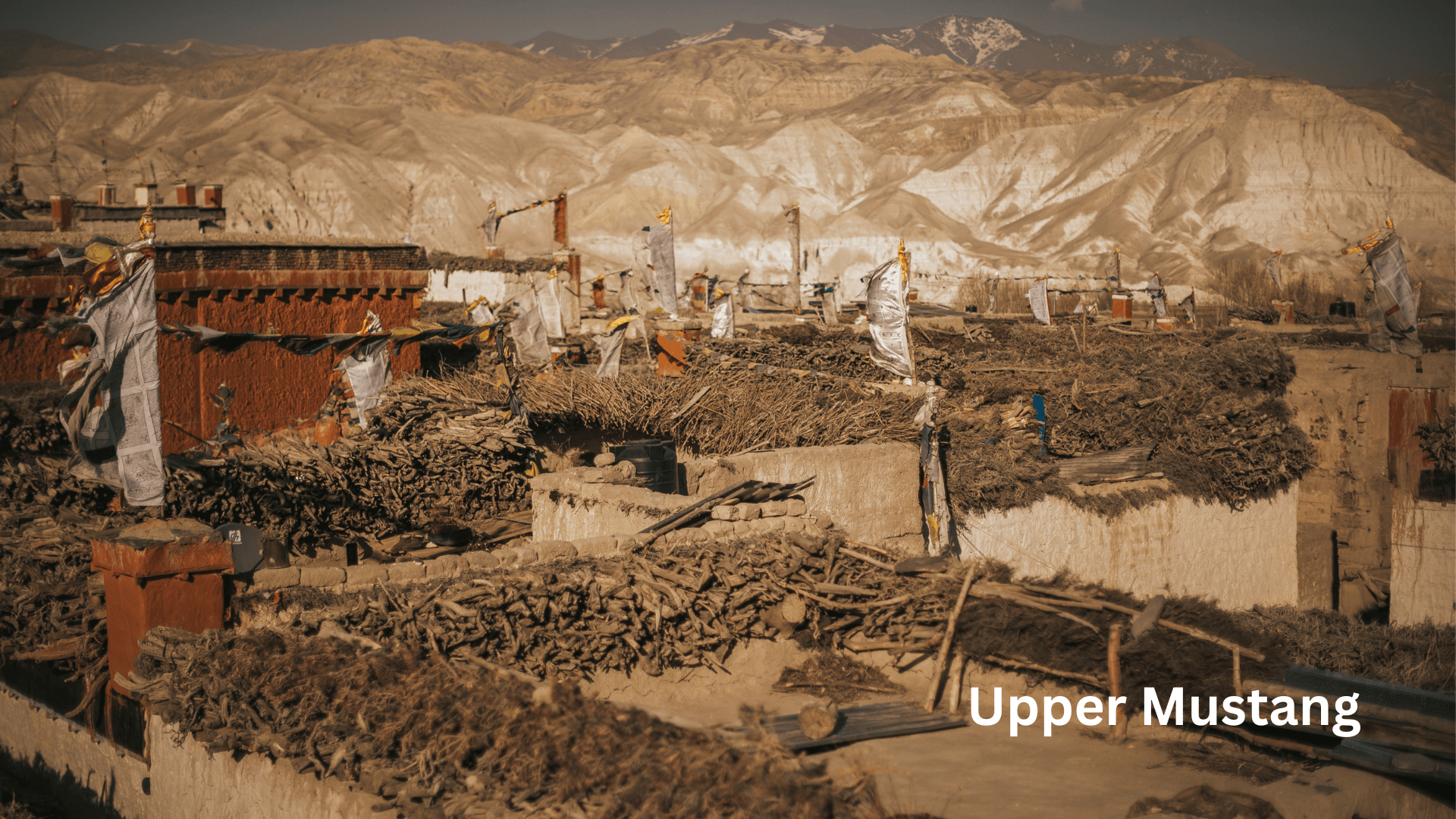 Upper-Mustang